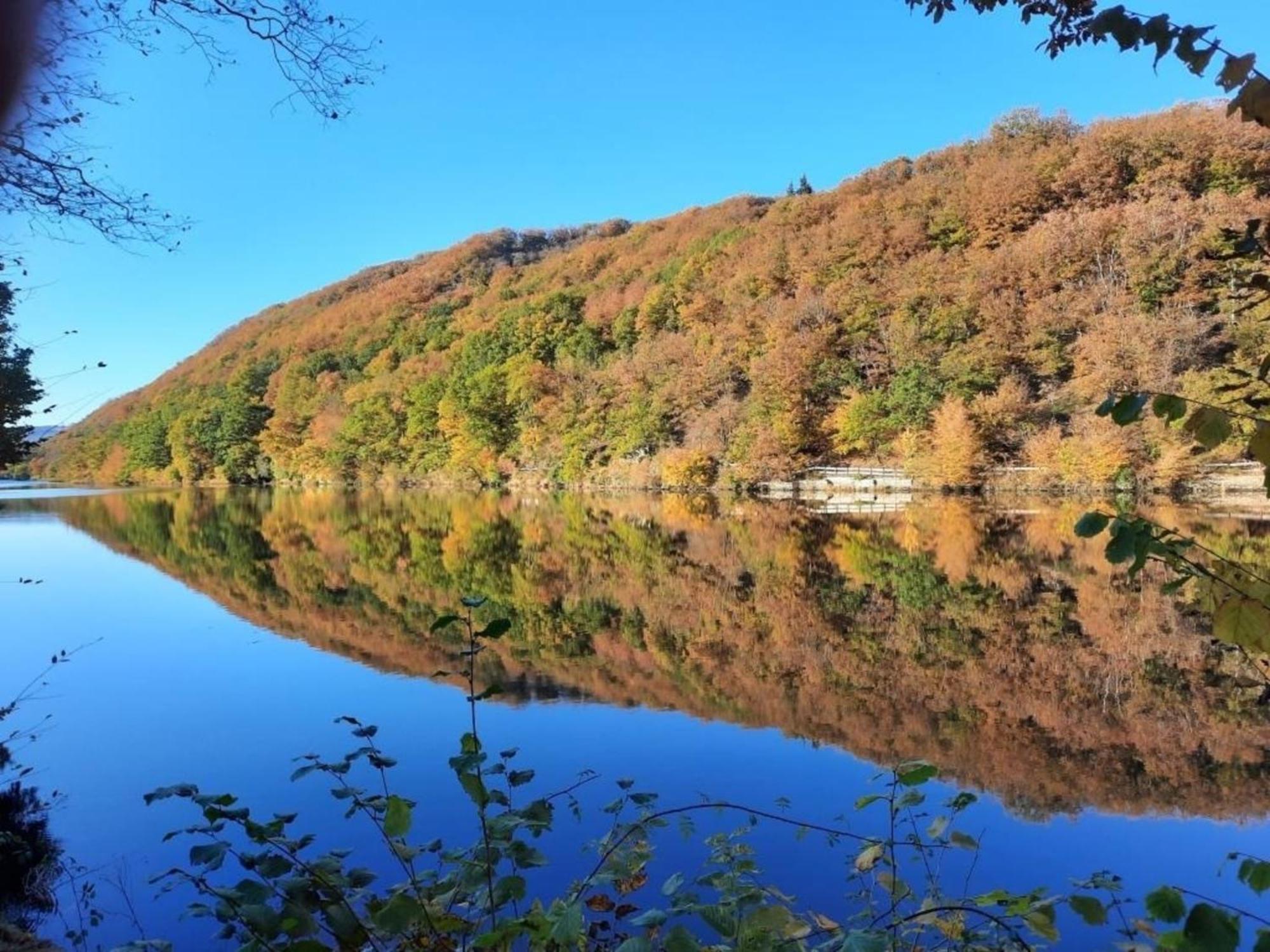 Ferienhaus &#039Freund Am See&#039 1 Хаймбах Екстериор снимка
